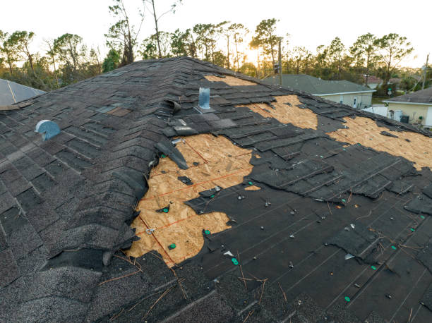 Best Roof Moss and Algae Removal  in Farmersville, CA